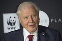 Davidas Attenborough