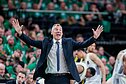 Šarūnas Jasikevičius, Eurolyga: Kauno „Žalgiris“ – Stambulo „Fenerbahče“
