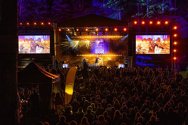 Kultūros festivalis Anykščiuose „Purpurinis vakaras“