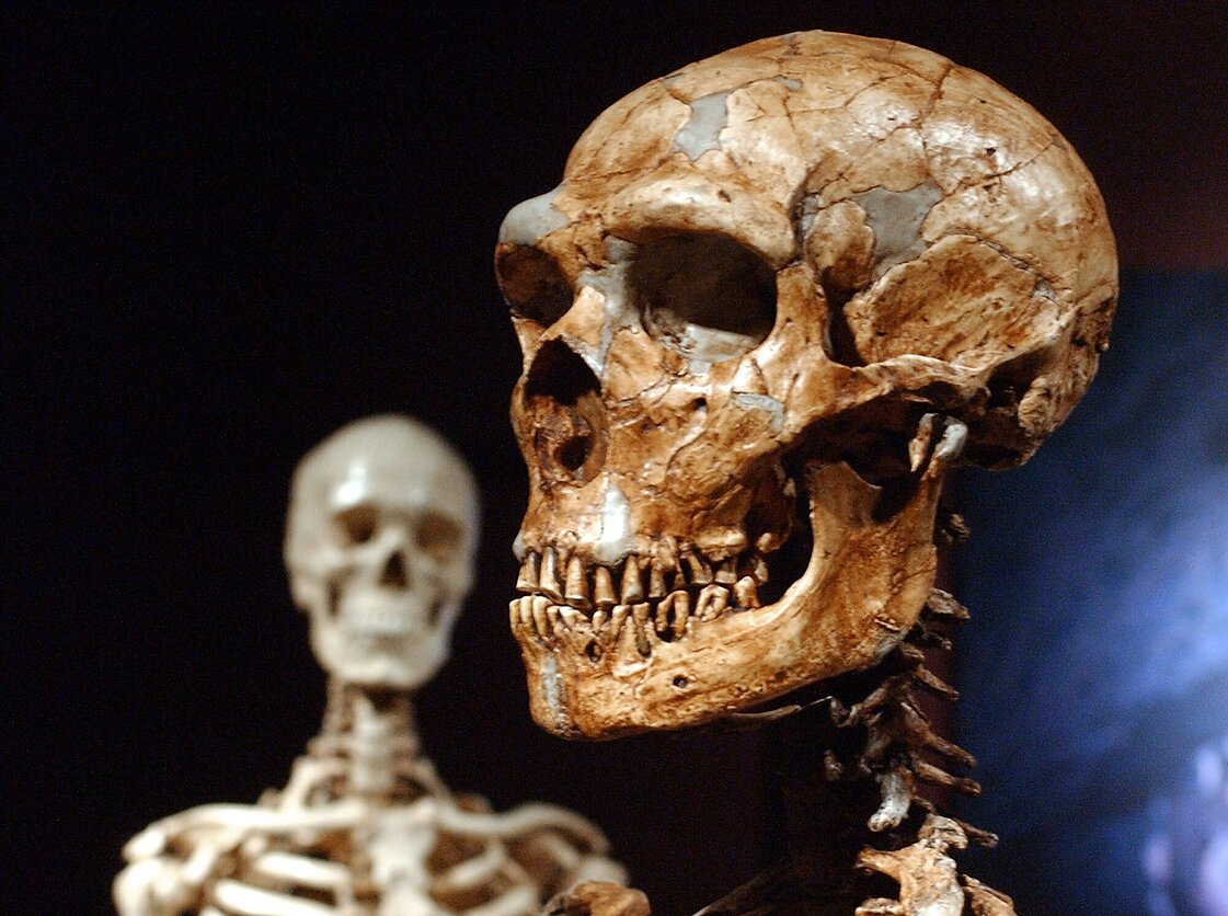 Neandertalietis