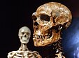 Neandertalietis