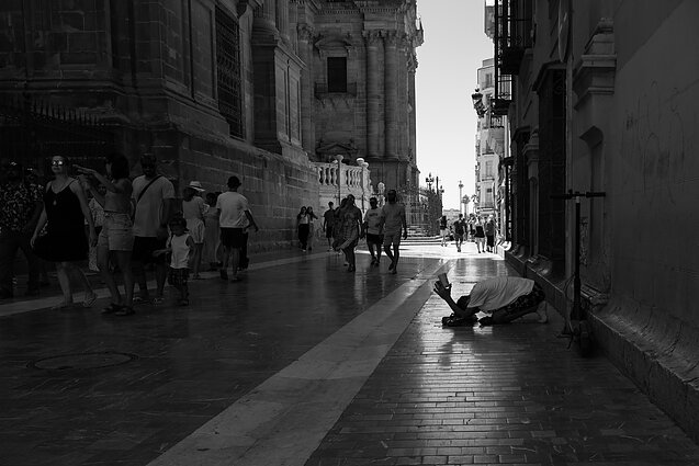 Viltis. Malaga, 2025