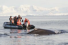 Kelionė kruiziniu laivu „MV Hondius“
