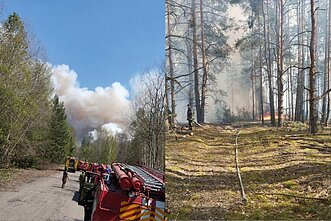 Nukritus dronui Čornobylio atskirties zonoje kilo miško gaisras
