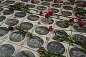 Armėnų genocido aukos