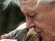 Davidas Attenborough