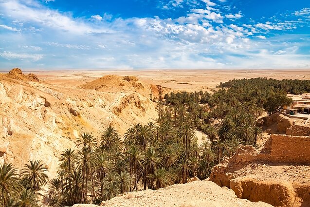 Sahara