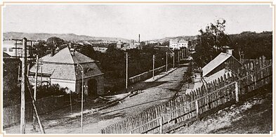 Kauno panorama