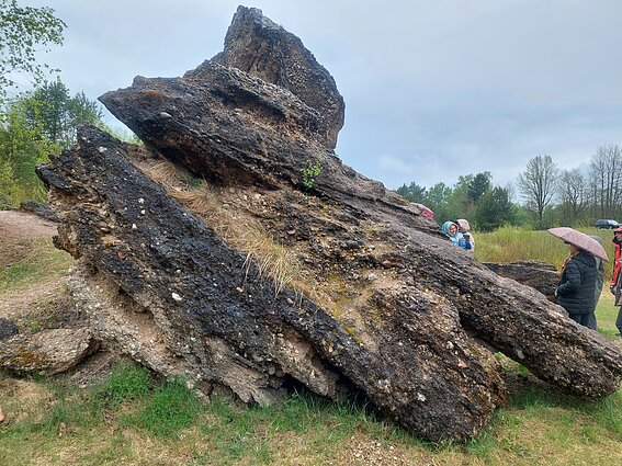 Šeimyniškių atodanga ir konglomerato uola