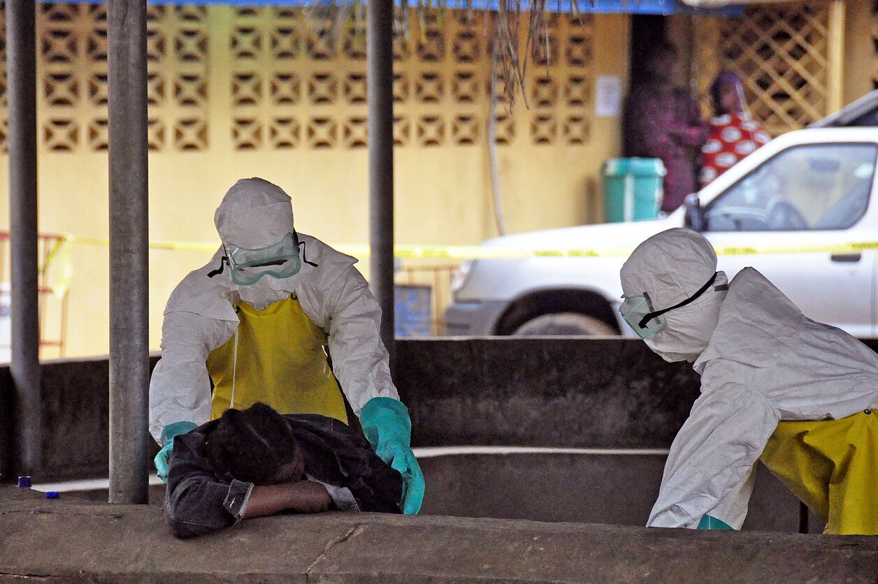 Ebola virusas