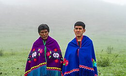 „Wayqeycuna“