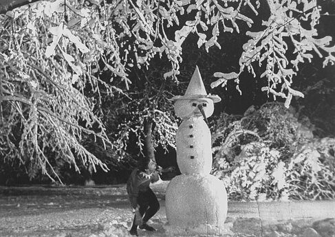 Arlekinas – A. Mackevičius. 1967 m. 