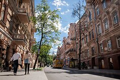 Vilniaus gatvėse – po remonto darbų nudžiuvę medžiai