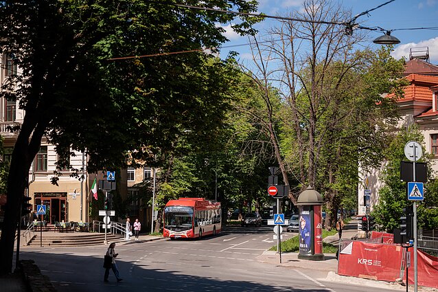 Vilniaus gatvėse – po remonto darbų nudžiuvę medžiai