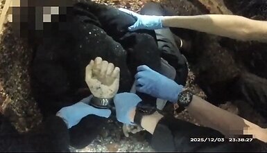 Merdėjančiam Henry`iui Nowakui policija uždeda antrankius