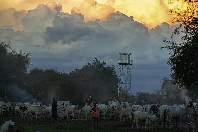 Pietų Sudanas. Mundari gentis