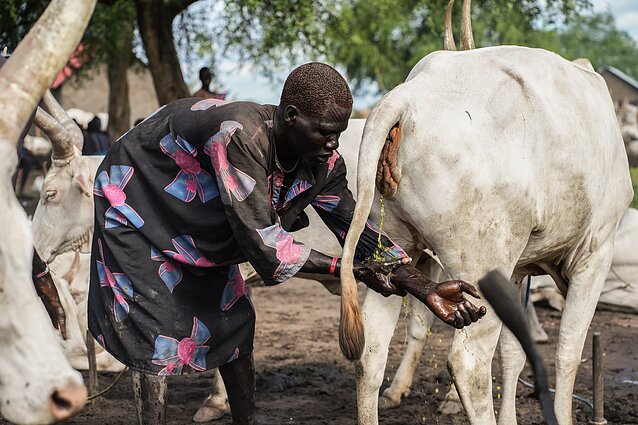 Pietų Sudanas. Mundari gentis