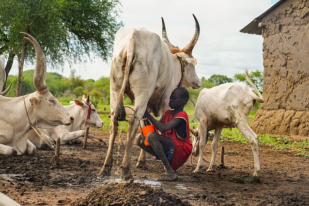 Pietų Sudanas. Mundari gentis
