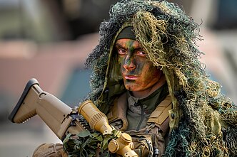 NATO karys. Asociatyvi nuotr.