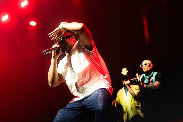 „Black Eyed Peas“ koncerto akimirka