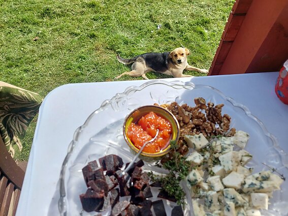 Mindaugo Balčiūno sodyboje Padvarninkuose