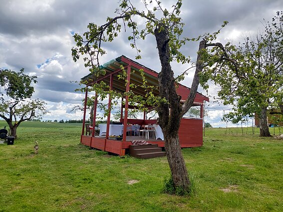 Mindaugo Balčiūno sodyboje Padvarninkuose