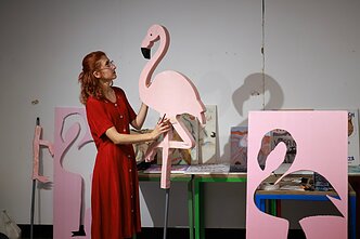 Flamingų revoliucija Albanijoje