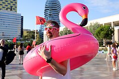 Flamingų revoliucija Albanijoje