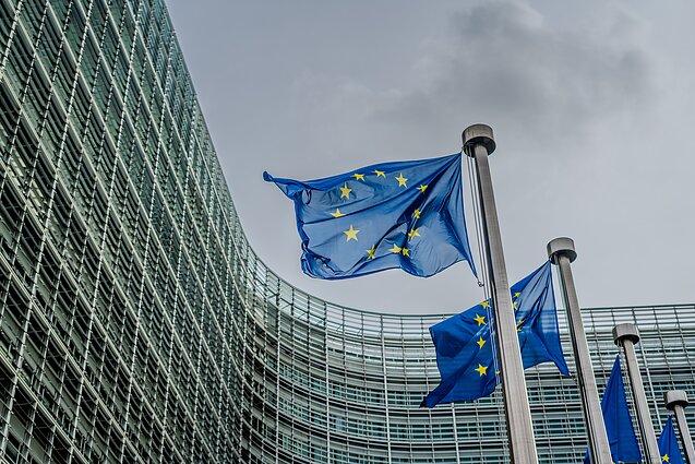 Europos Sąjunga.