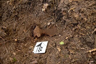 Guntulių kapinyno tyrimai. Kovos kirvis. 13–14 a. 