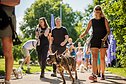 Walk15 žygis su augintiniais Vilniaus Upės festivalyje