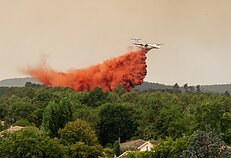 Miškų gaisrai Ispanijoje ir Prancūzijoje