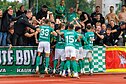 Kauno Žalgiris