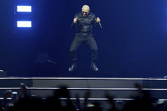 Pitbullis Pitbullis