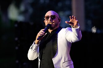 Pitbullis Pitbullis